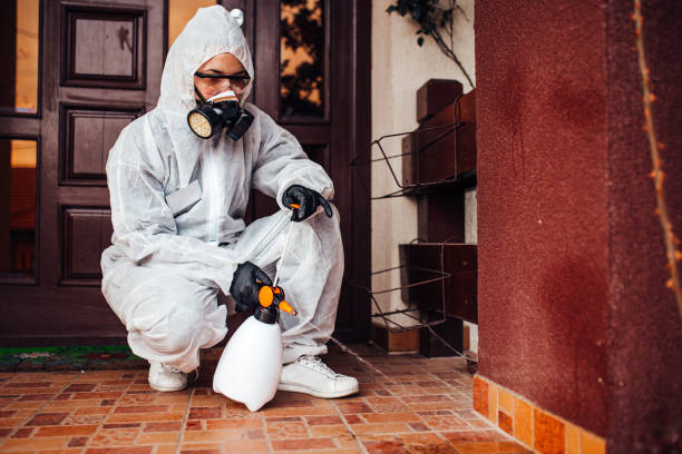 Attic and Crawl Space Rodent Treatment in Roosevelt Park
